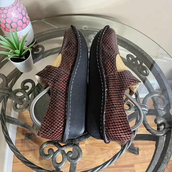 Alegria‎ Paloma PAL-702 Brown Snake Print Mary Jane Leather Clogs Womens 42 EUC
