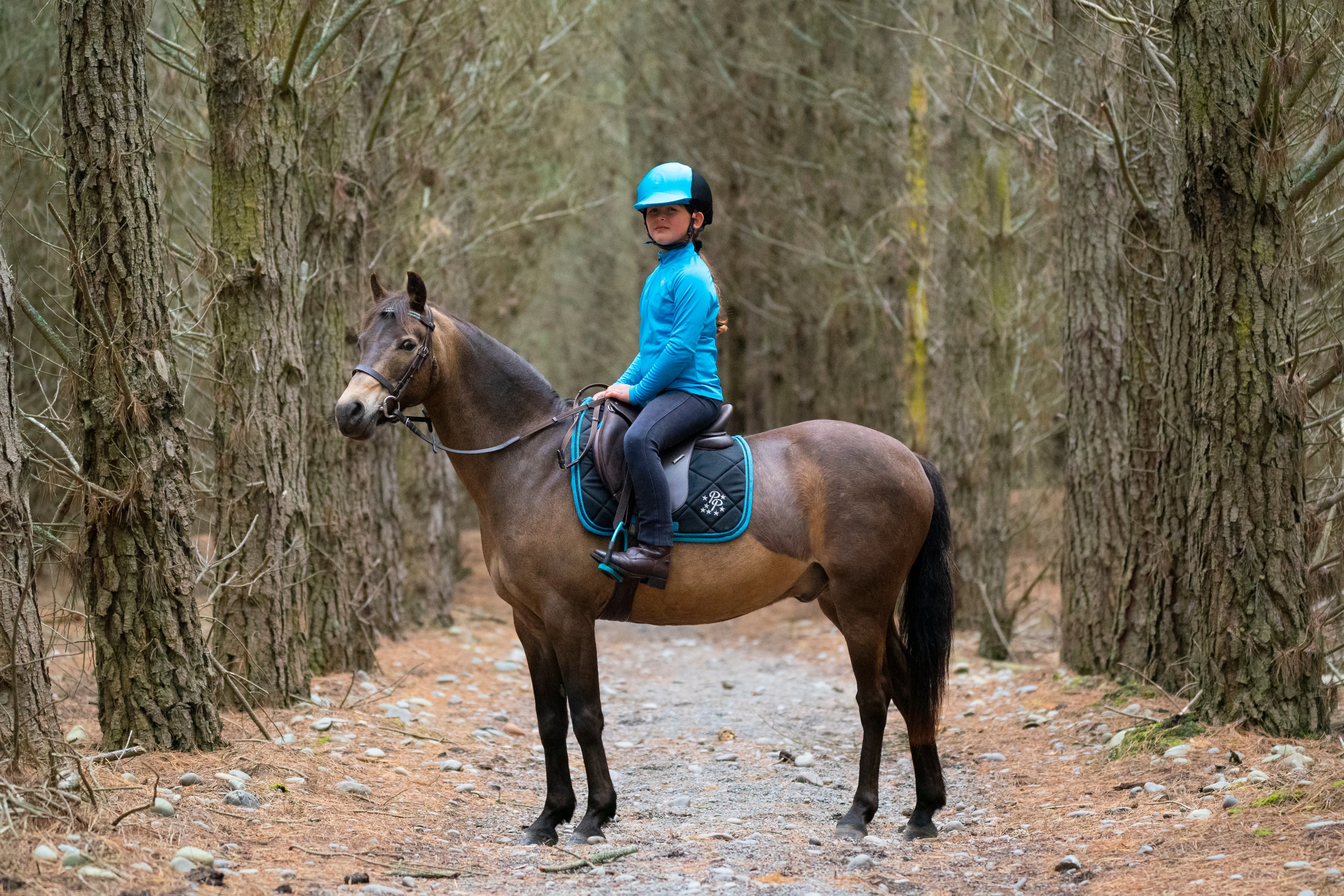 Black/Turquoise Saddle Pads - Jump, GP, and Dressage cuts
