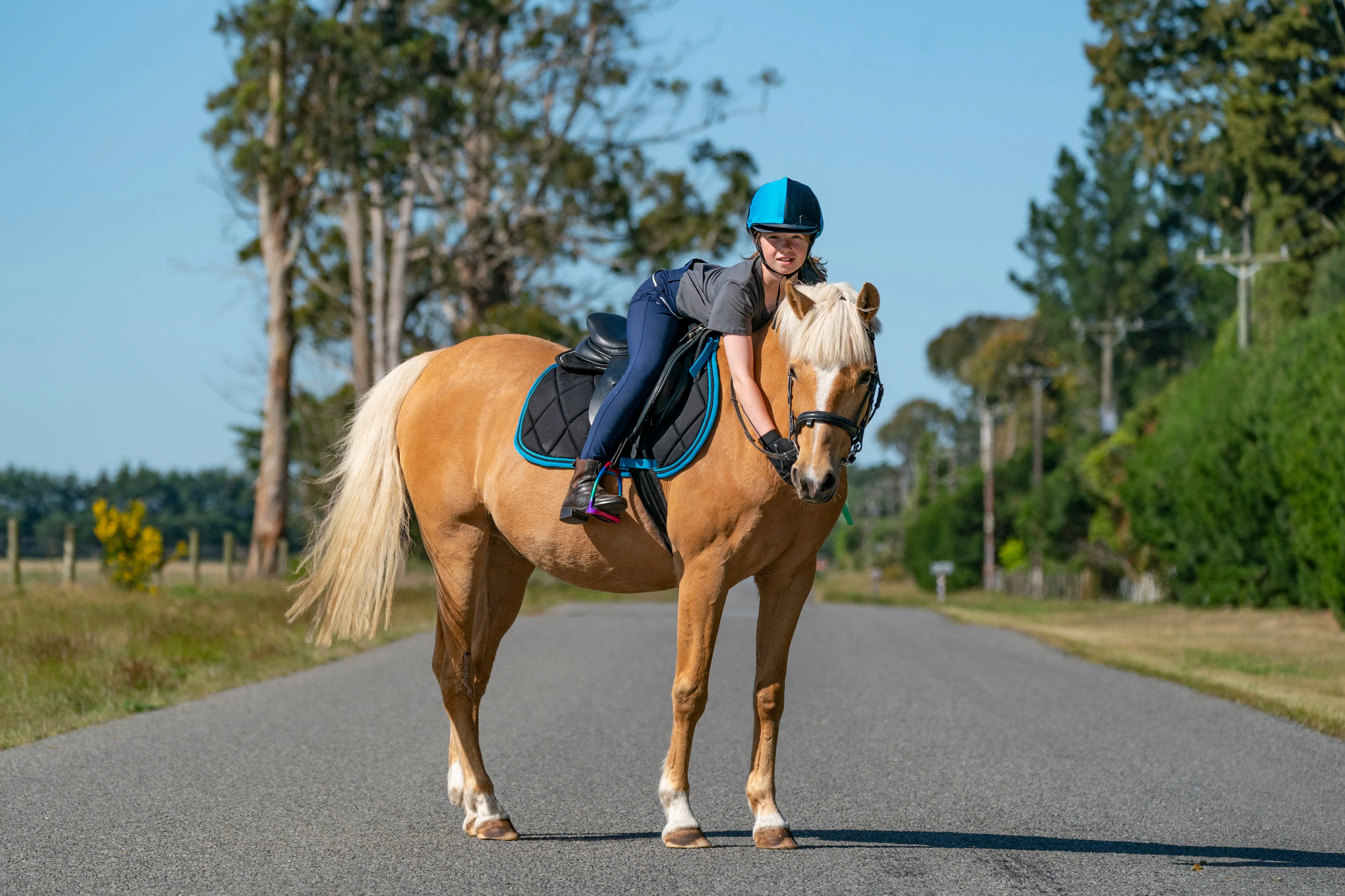 Black/Turquoise Saddle Pads - Jump, GP, and Dressage cuts