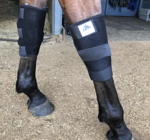 LT Horse Knee Boots