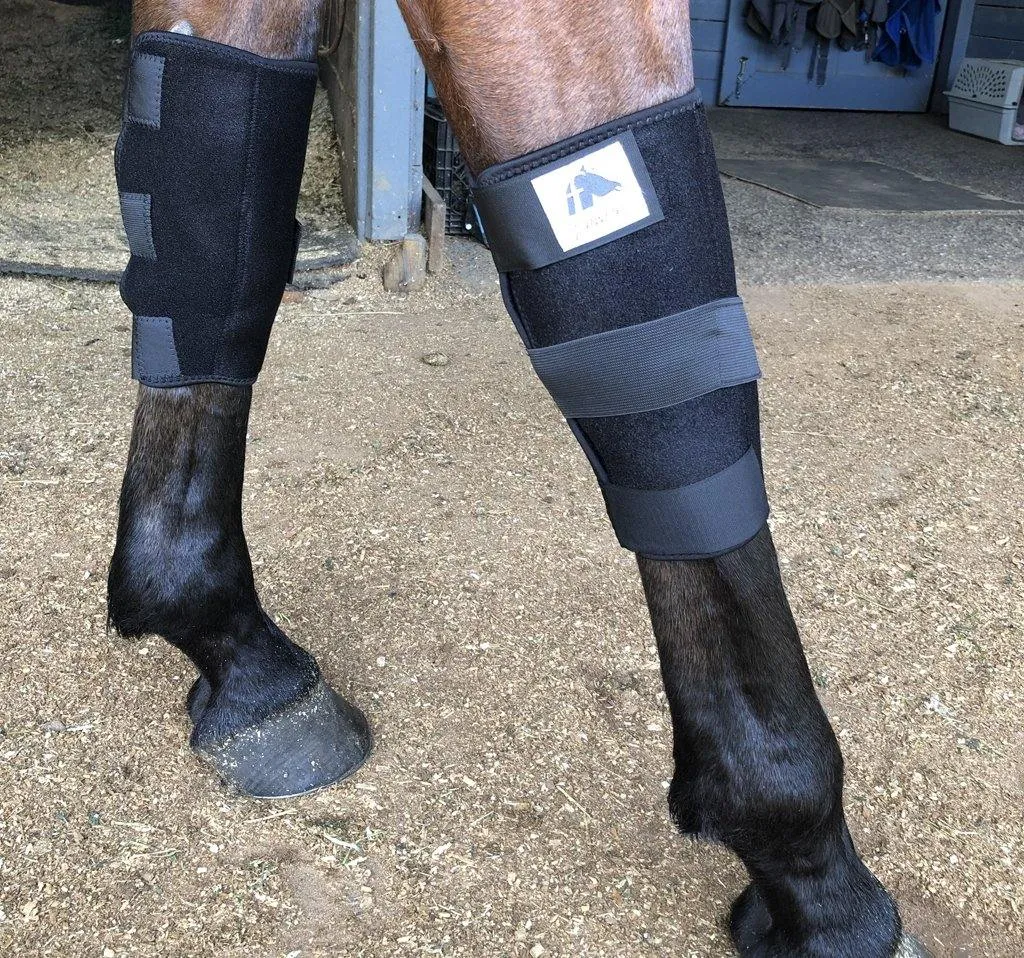 LT Horse Knee Boots