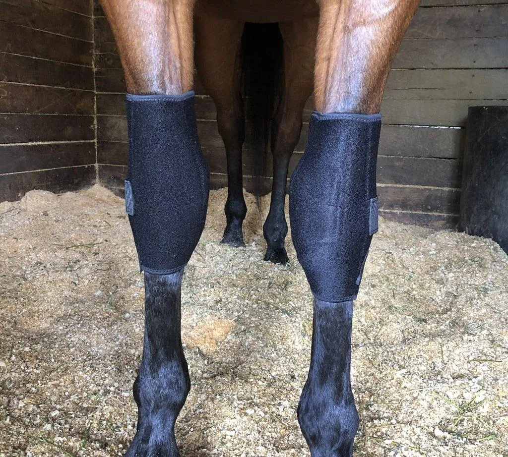 LT Horse Knee Boots