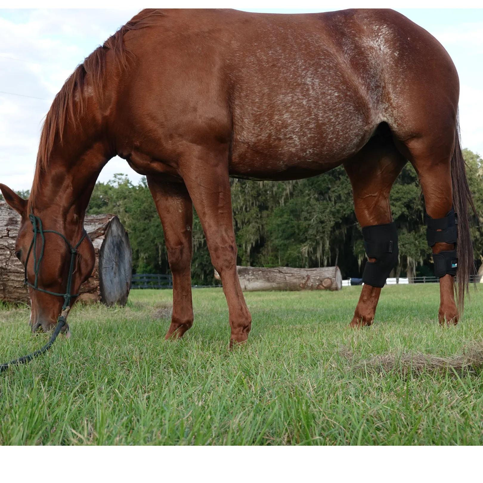 *NEW* Benefab REJUVENATE SMART HOCK BOOTS