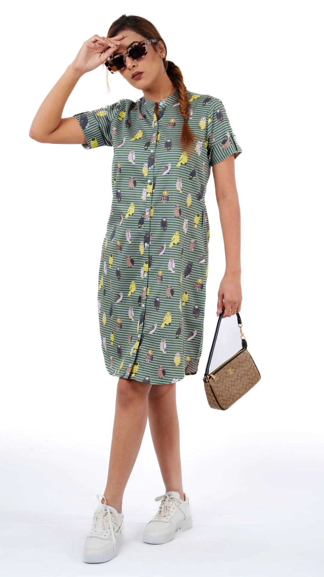 Olive Owl