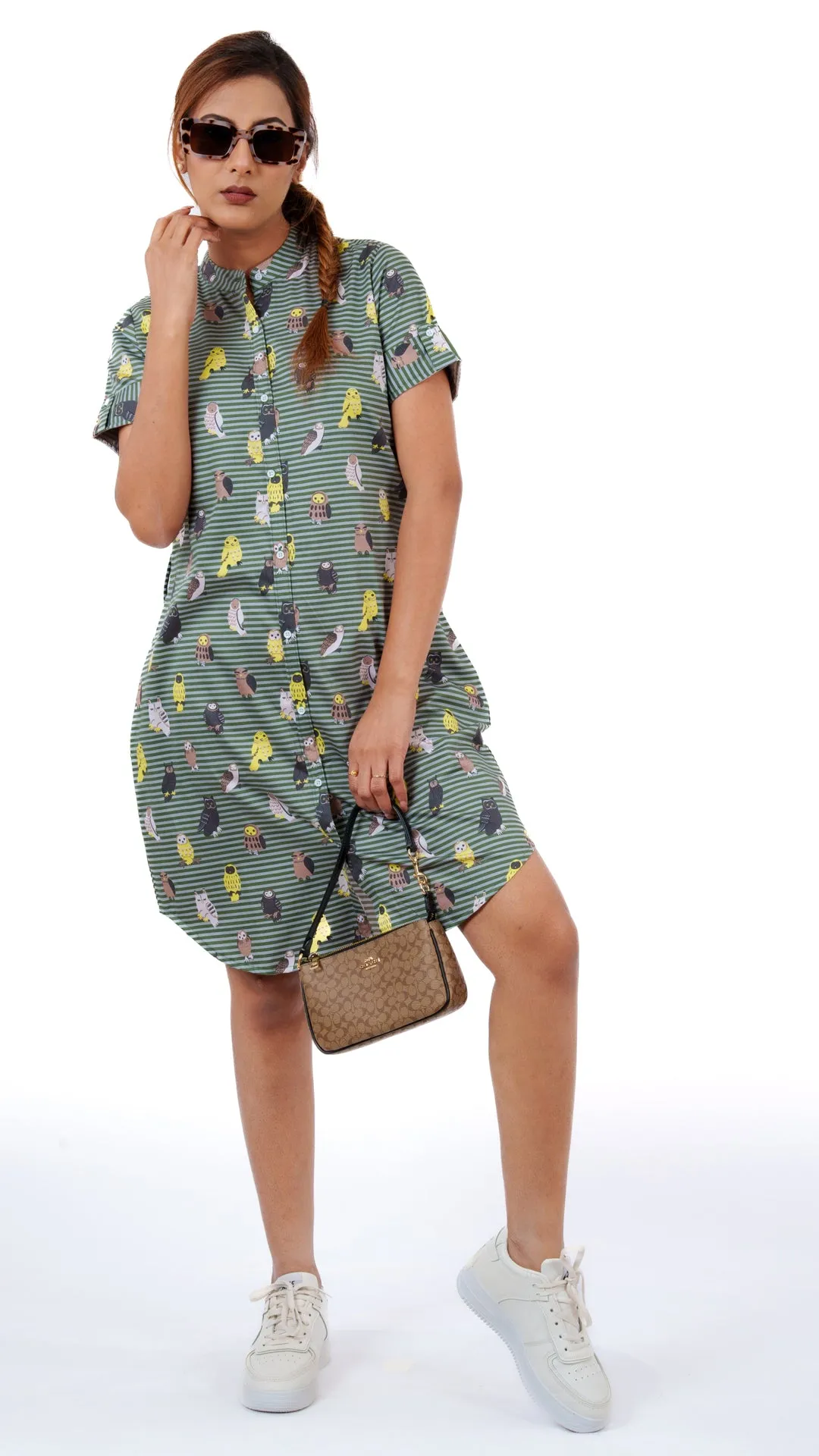Olive Owl