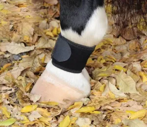 Professional’s Choice VenTech Pastern Wrap- Black