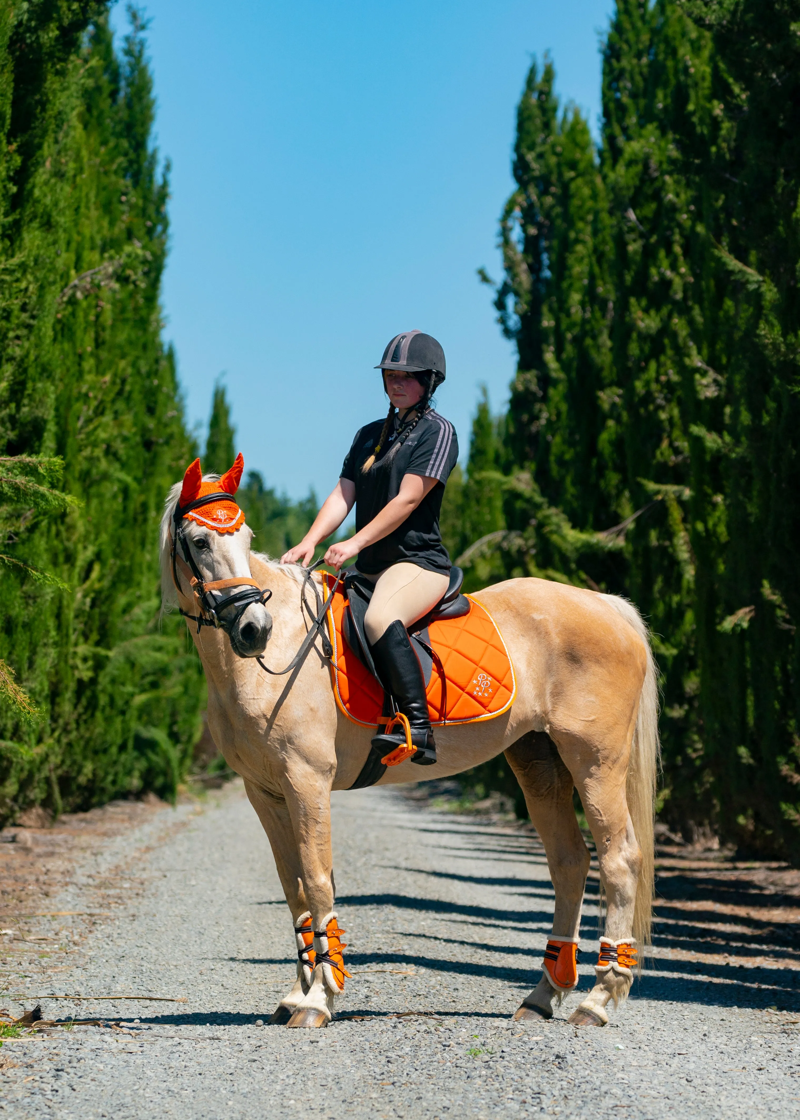 Sunset Orange Saddle Pads - Jump, GP, and Dressage cuts