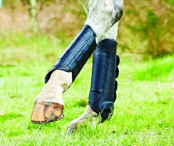 Weatherbeeta Cross Country Boots Hind